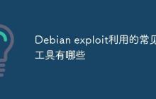 Debian exploit利用的常见工具有哪些