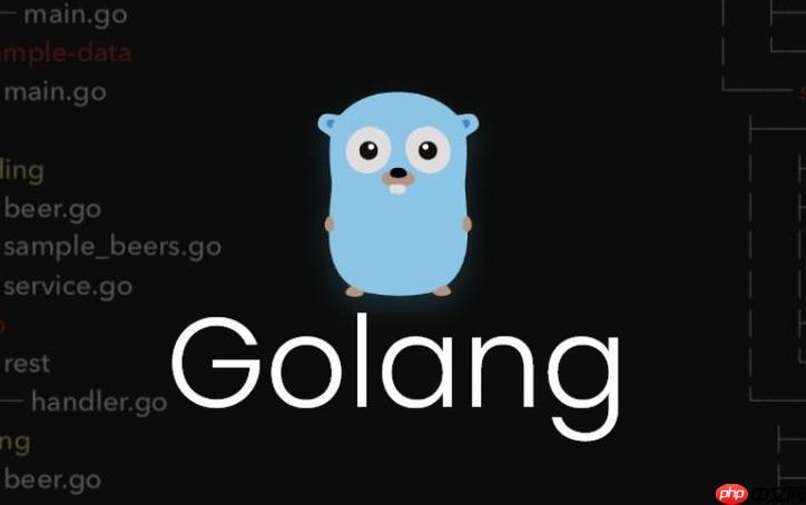 解析 Go 語言中結構體嵌套與匿名字段的常見使用問題-小浪學習網