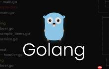 解析 Go 语言中结构体嵌套与匿名字段的常见使用问题
