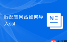 iis配置网站如何导入ssl