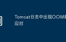 Tomcat日志中出现OOM如何应对