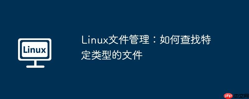 linux文件管理：如何查找特定类型的文件