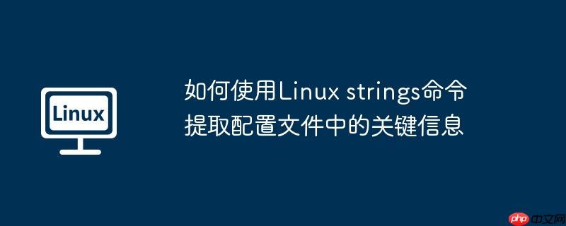 如何使用linux strings命令提取配置文件中的关键信息
