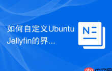 如何自定义Ubuntu Jellyfin的界面
