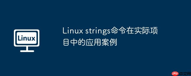 Linux strings命令在實際項目中的應用案例