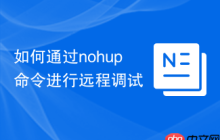 如何通过nohup命令进行远程调试