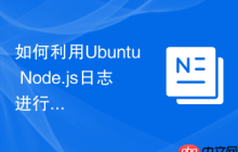 如何利用Ubuntu Node.js日志进行性能监控