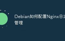 Debian如何配置Nginx日志管理