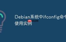 Debian系统中ifconfig命令使用实例
