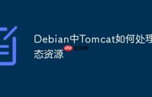 Debian中Tomcat如何处理静态资源