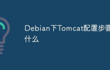 Debian下Tomcat配置步骤是什么