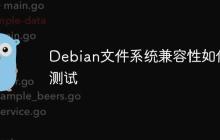 Debian文件系统兼容性如何测试