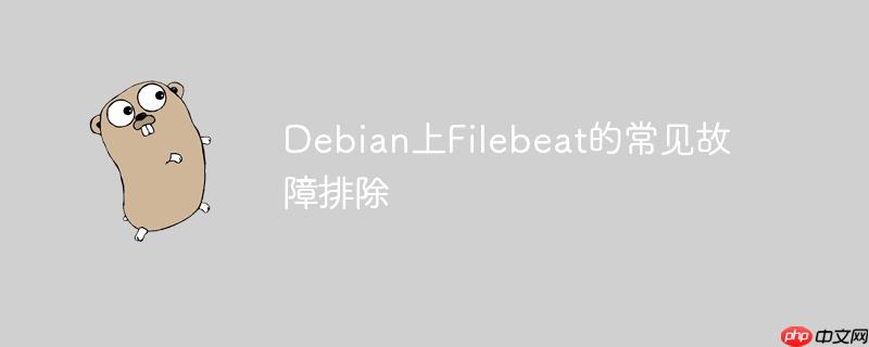 Debian上Filebeat的常見故障排除-小浪學(xué)習(xí)網(wǎng)