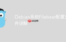 Debian系统Filebeat配置文件详解