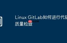 Linux GitLab如何进行代码质量检查