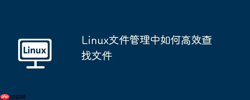 Linux文件管理中如何高效查找文件