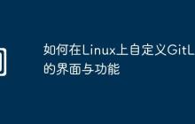 如何在Linux上自定义GitLab的界面与功能