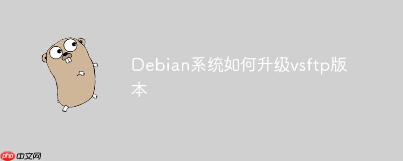 debian系统如何升级vsftp版本