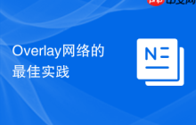 Overlay网络的最佳实践