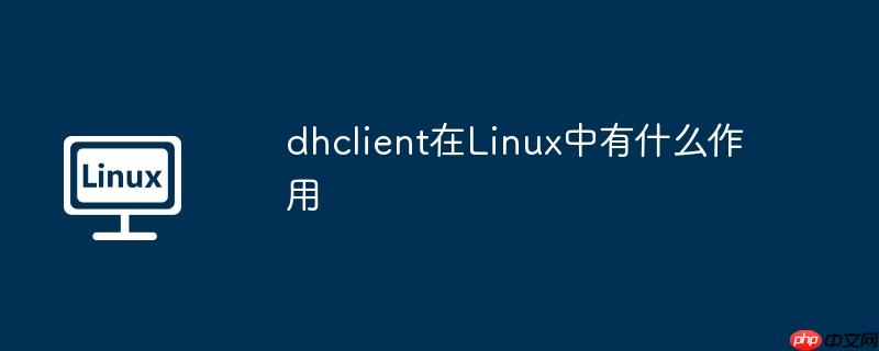 dhclient在Linux中有什么作用