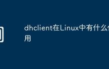dhclient在Linux中有什么作用
