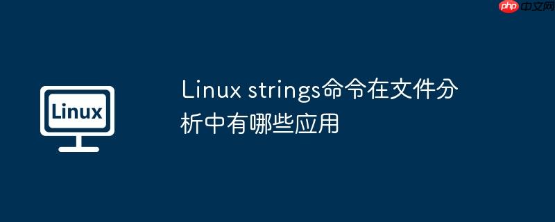 Linux strings命令在文件分析中有哪些应用