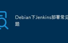 Debian下Jenkins部署常见问题