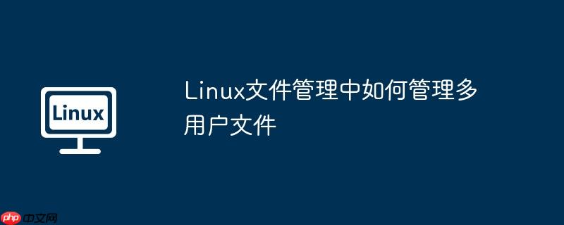 linux文件管理中如何管理多用户文件