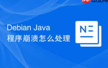 Debian Java程序崩溃怎么处理