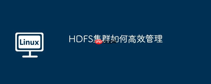 HDFS集群如何高效管理
