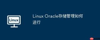 Linux Oracle存储管理如何进行