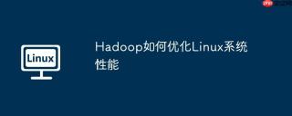 hadoop如何优化linux系统性能