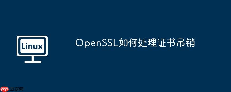 OpenSSL如何处理证书吊销