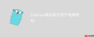 Debian域名能否用于电商网站