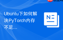 Ubuntu下如何解决PyTorch内存不足问题