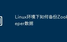 Linux环境下如何备份Zookeeper数据