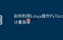 如何利用Linux提升PyTorch计算效率