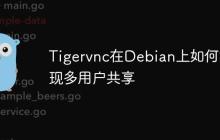 Tigervnc在Debian上如何实现多用户共享