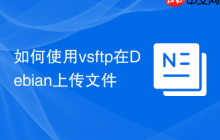如何使用vsftp在Debian上传文件