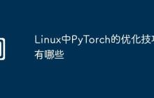 Linux中PyTorch的优化技巧有哪些