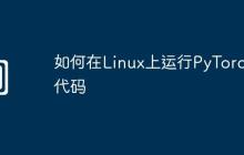 如何在Linux上运行PyTorch代码