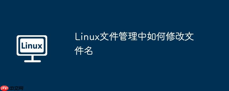 Linux文件管理中如何修改文件名