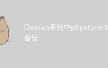 Debian系统中phpstorm如何备份