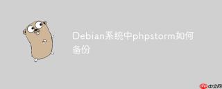 Debian系统中phpstorm如何备份