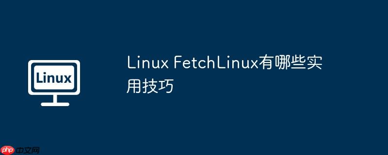 Linux FetchLinux有哪些实用技巧