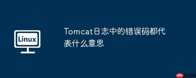 Tomcat日志中的錯誤碼都代表什么意思 - 小浪云數據