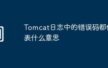 Tomcat日志中的错误码都代表什么意思