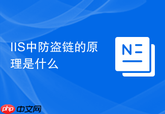 IIS中防盗链的原理是什么