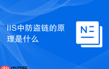 IIS中防盗链的原理是什么