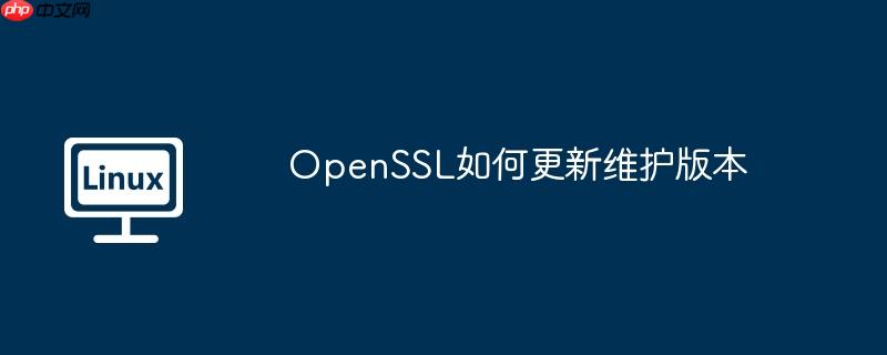 OpenSSL如何更新維護版本 - 小浪云數(shù)據(jù)
